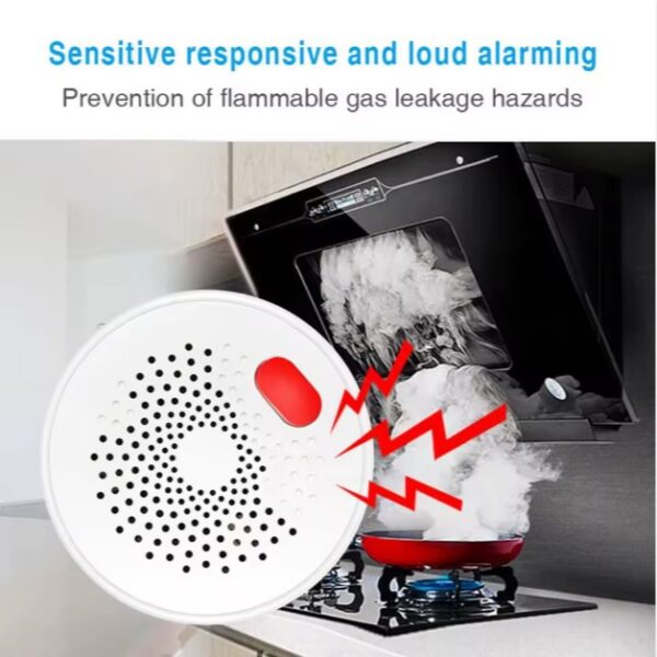Pemsmart Tuya Smart WiFi Zigbee Natural Gas Sensor for Kitchen Safety. Smart plug-in gas detector with 70dB alarm and Tuya app alerts. Detects natural gas (CH₄) and sends real-time notifications to your phone. - Image 4